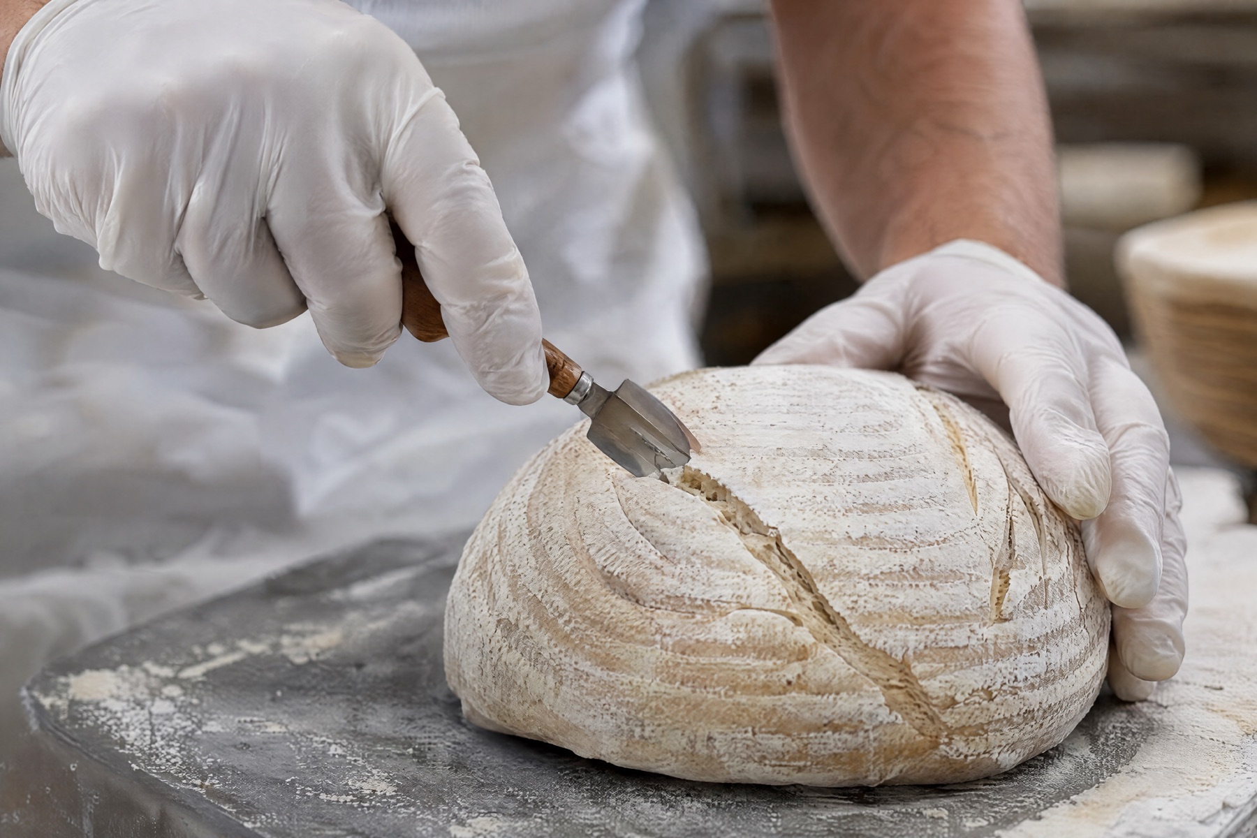 Gloved hands scoring a deep line across a floured round sourdough loaf with a blade