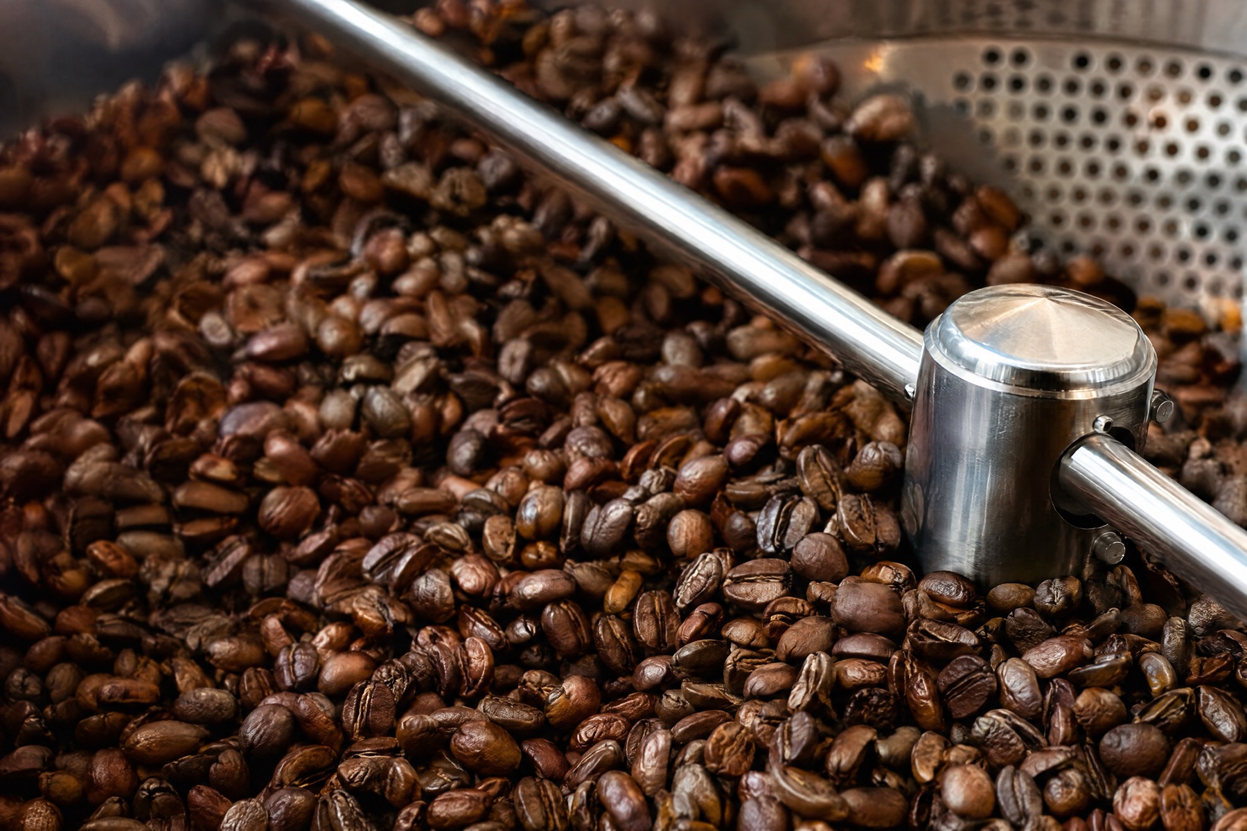 Freshly roasted coffee beans turning in a roaster's steel cooling tray